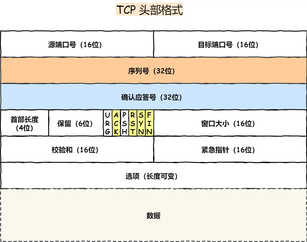 TCP 协议首部